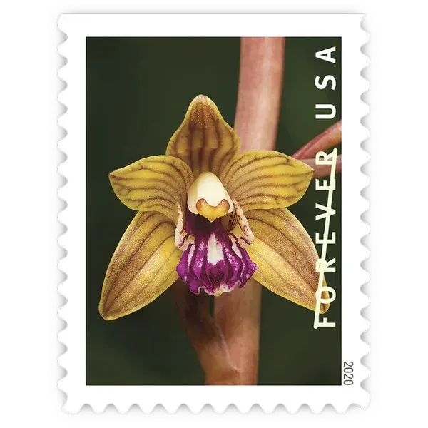 Wild Orchids Forever Stamp 2020 - Image 3