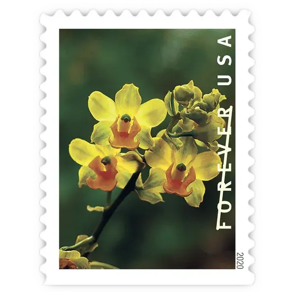 Wild Orchids Forever Stamp 2020 - Image 6