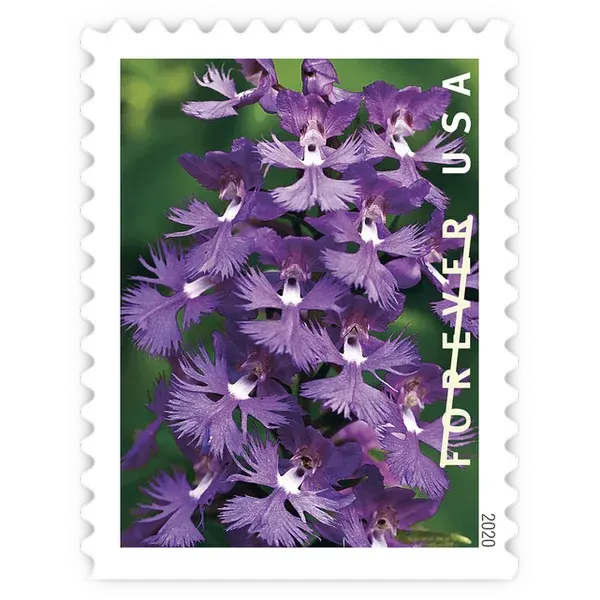 Wild Orchids Forever Stamp 2020 - Image 7
