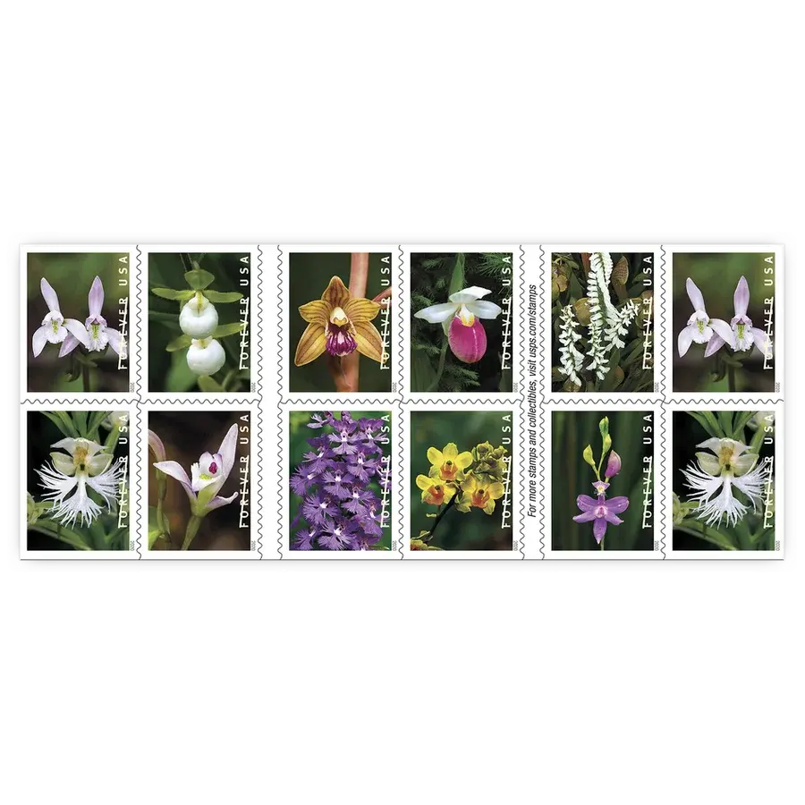 Wild Orchids Forever Stamp 2020 - Image 2