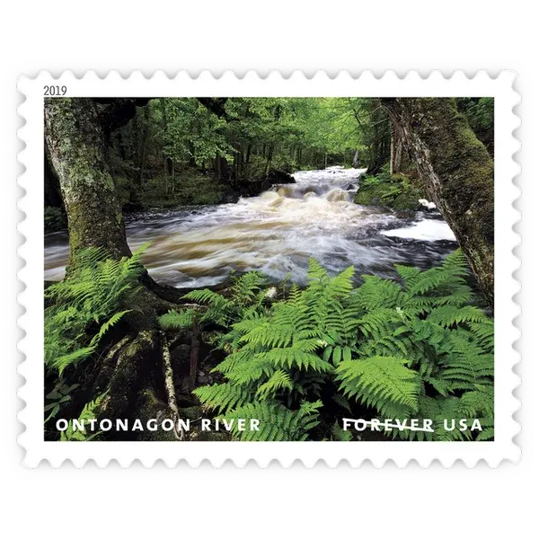 Wild and Scenic Rivers Forever Stamp 2019 - Image 5