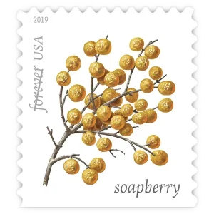 Winter Berries Forever Stamp 2019