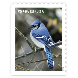 Winter Scenes Forever Stamp 2020