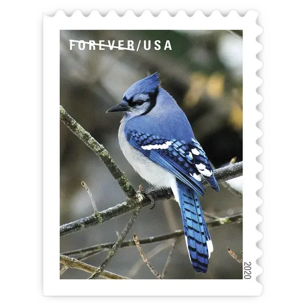 Winter Scenes Forever Stamp 2020