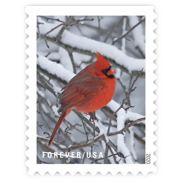 Winter Scenes Forever Stamp 2020 - Image 3