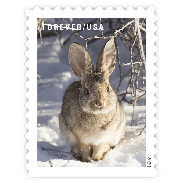 Winter Scenes Forever Stamp 2020 - Image 7