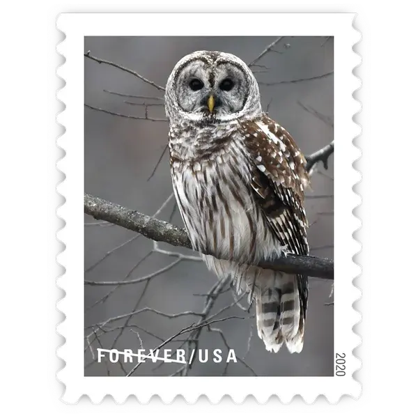 Winter Scenes Forever Stamp 2020 - Image 8