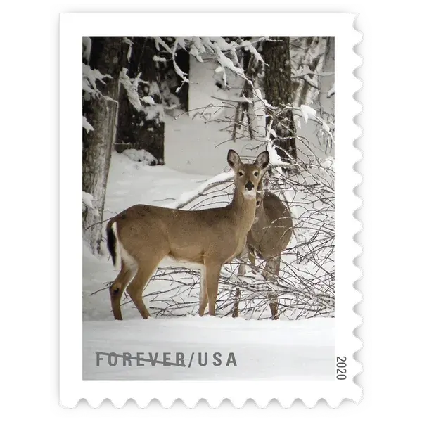 Winter Scenes Forever Stamp 2020 - Image 11