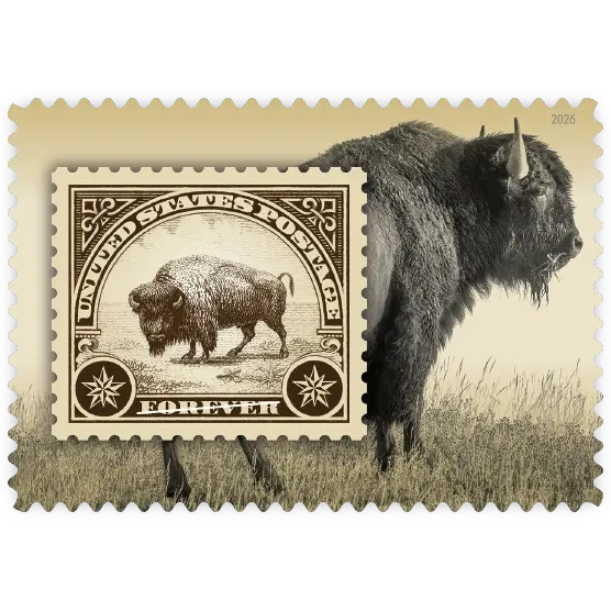 American Bison Forever Stamp 2026