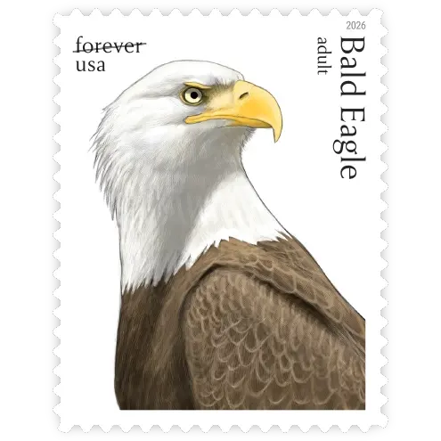 Bald Eagle: Hatchling to Adult Forever Stamp 2026 - Image 3