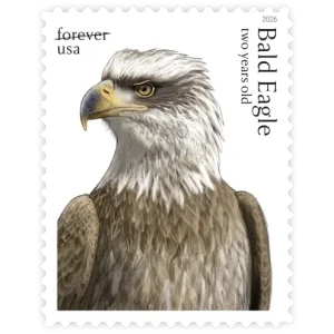 Bald Eagle: Hatchling to Adult Forever Stamp 2026
