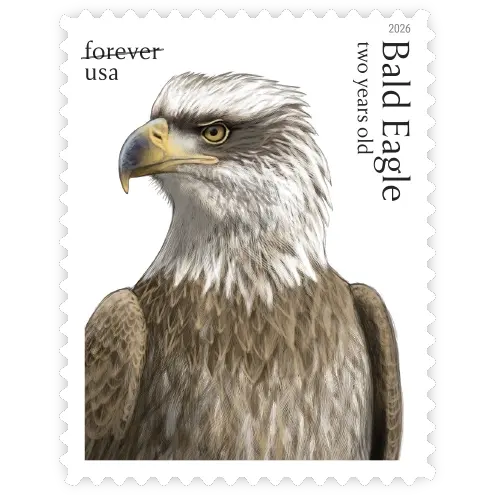 Bald Eagle: Hatchling to Adult Forever Stamp 2026