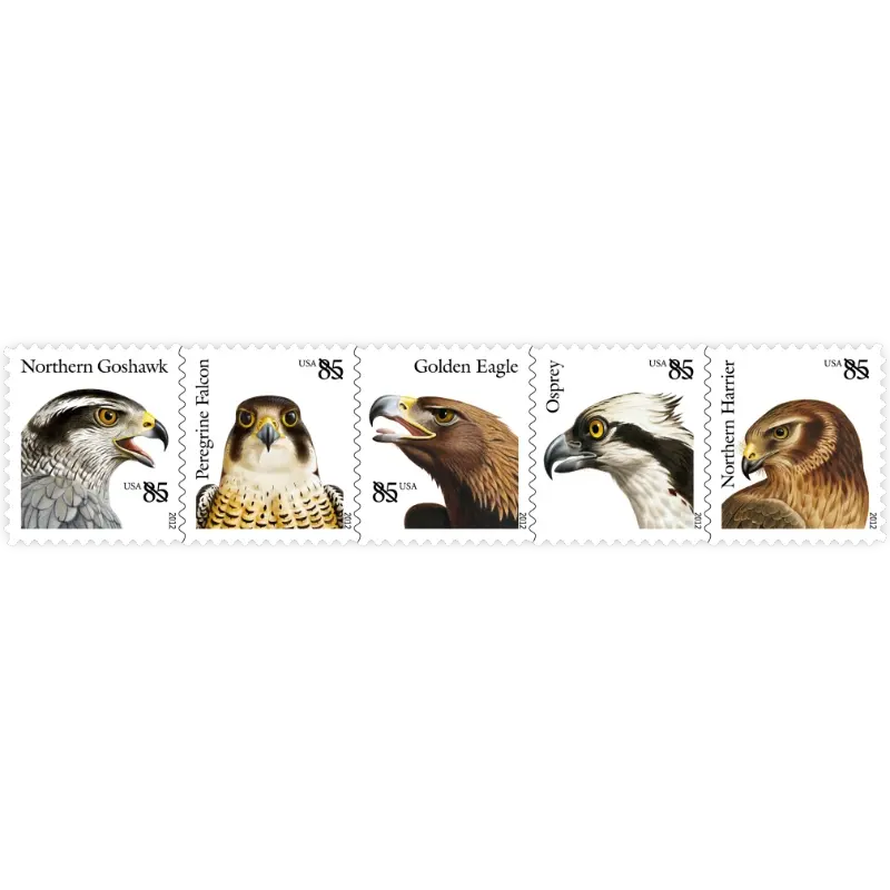 Birds of Prey Forever Stamp 2012 - Image 2