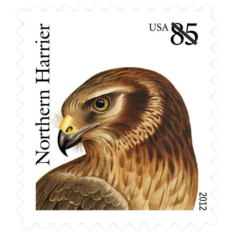 Birds of Prey Forever Stamp 2012 - Image 6