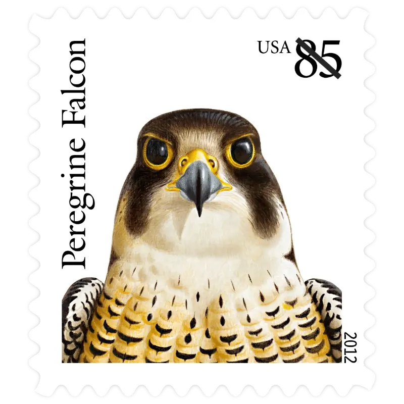 Birds of Prey Forever Stamp 2012 - Image 5