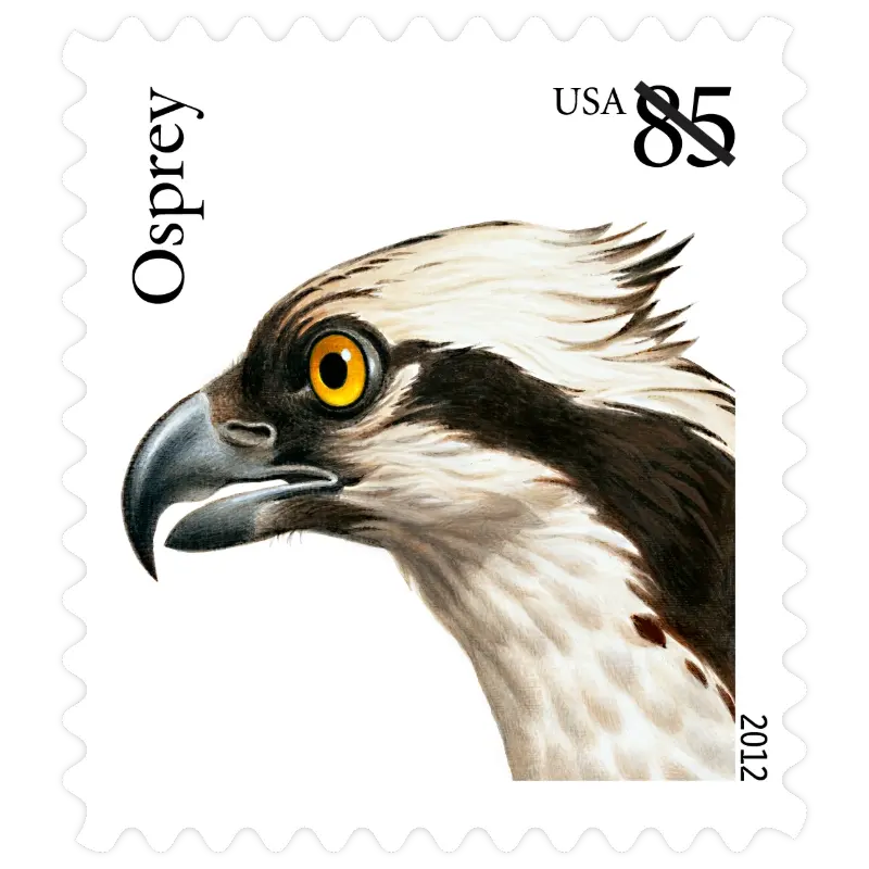 Birds of Prey Forever Stamp 2012 - Image 4
