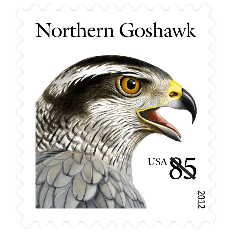 Birds of Prey Forever Stamp 2012 - Image 3