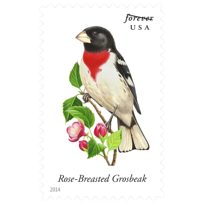 Song Birds Forever Stamp 2014 - Image 10