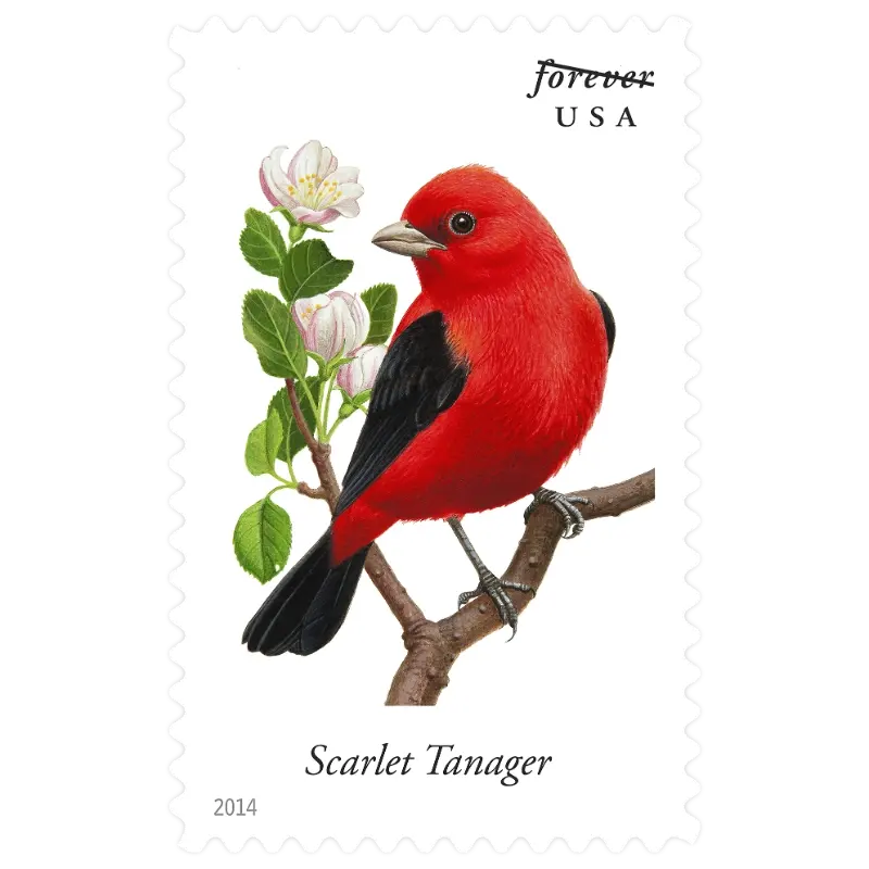 Song Birds Forever Stamp 2014 - Image 2