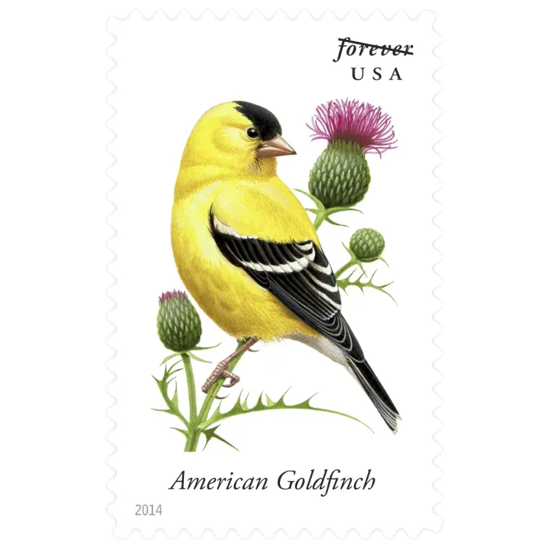 Song Birds Forever Stamp 2014 - Image 4