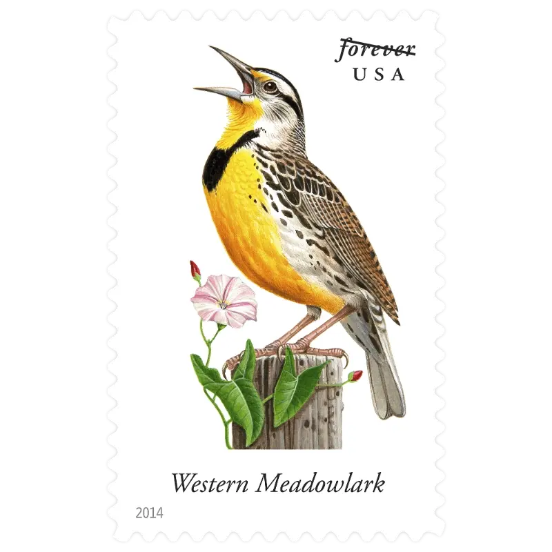 Song Birds Forever Stamp 2014 - Image 5