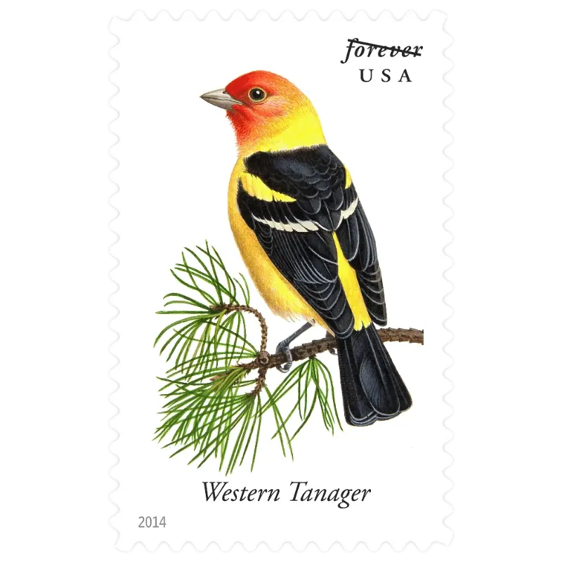 Song Birds Forever Stamp 2014 - Image 6