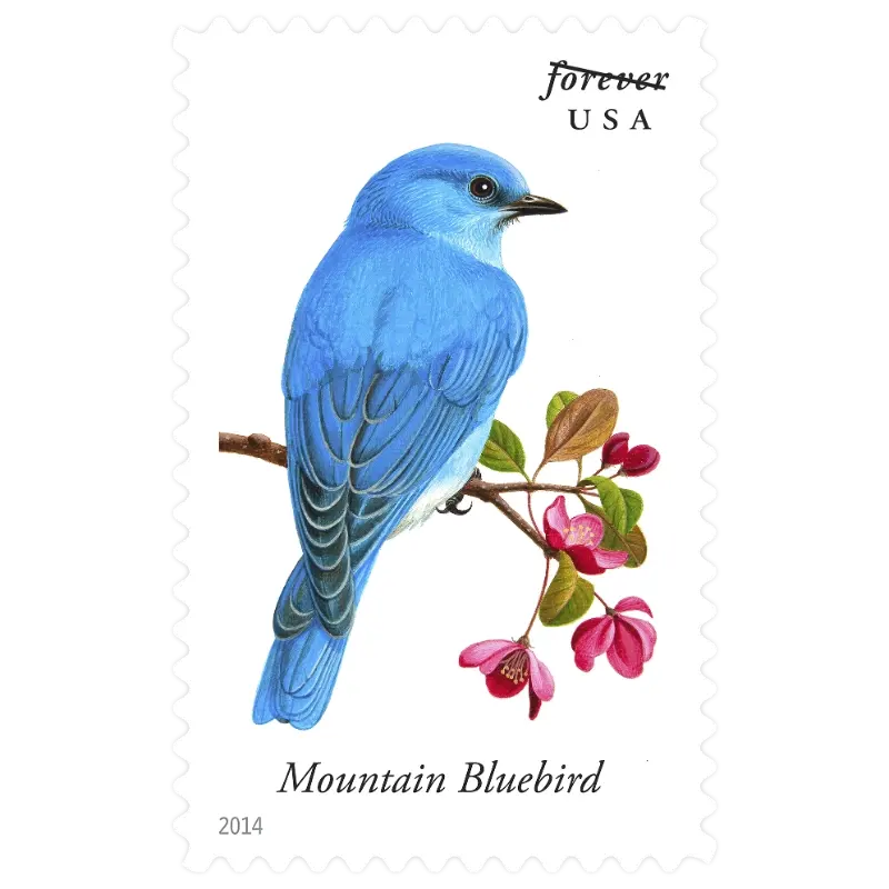 Song Birds Forever Stamp 2014 - Image 8