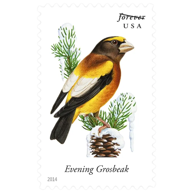 Song Birds Forever Stamp 2014 - Image 9